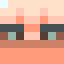 Berdiesanders Minecraft player head