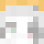 LisaStar_ Minecraft player head