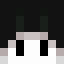 NA214 Minecraft player head