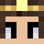 Notgamerfleet Minecraft player head