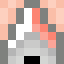 O_N Minecraft player head