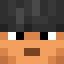 Pro_Turtle Minecraft player head