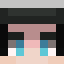 SaltMINCRAFT Minecraft player head