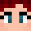 VeryBusyBee Minecraft player head