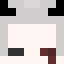 Xervai Minecraft player head