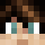 aerialwhip Minecraft player head