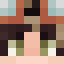 altactually Minecraft player head