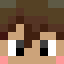 fujifox Minecraft player head