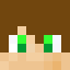 hari Minecraft player head
