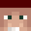 nimi Minecraft player head