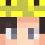 senpaispider Minecraft player head