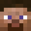 steve Minecraft player head