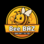 BeebazMC Minecraft Server Icon