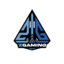 BerSeCkCraft Minecraft Server Icon