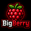 BigBerrySMP Minecraft Server Icon