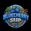 BLUEBERRY SMP Minecraft Server Icon
