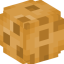 BowieNetwork Minecraft Server Icon