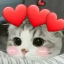darkxcraft Minecraft Server Icon