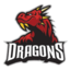 DragonsMc Minecraft Server Icon