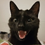[Furry Anarchy] 2 Paws 1 Job **BRAND NEW** Minecraft Server Icon