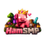 HamSmp Minecraft Server Icon