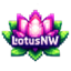 Lotus NW Minecraft Server Icon