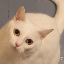 Manifestic Minecraft Server Icon