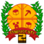 Mapucraft Chile Minecraft Server Icon