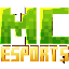 Minecraft Esports Minecraft Server Icon