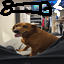 Minecraft  survival Minecraft Server Icon
