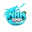 NanSMP Minecraft Server Icon
