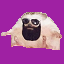 Newcoming [Roleplay SMP] Minecraft Server Icon
