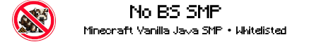 No BS SMP Minecraft Server banner