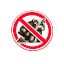 No BS SMP Minecraft Server Icon