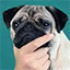 OmegaMC Minecraft Server Icon