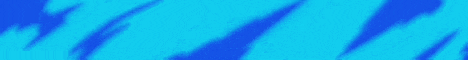 Panther Kingdom Minecraft Server banner