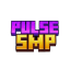 PulseSMP Minecraft Server Icon