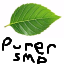 Purer Minecraft Server Icon