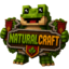 redewine Minecraft Server Icon
