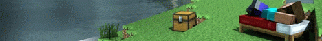 Shy Enderman Minecraft Server banner