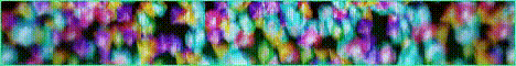 Siegelands Minecraft Server banner