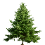 The Nest SMP Minecraft Server Icon