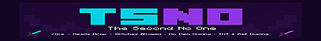 The second no one Minecraft Server banner