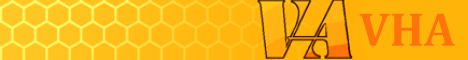 Vault Hunters Anonymous Minecraft Server banner