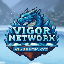 Vigor Network Minecraft Server Icon