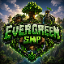 VLT Nework Minecraft Server Icon