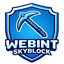 Webint Skyblock Server 1.21.1 / 1.21.8 Minecraft Server Icon