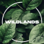 WildLands SMP Minecraft Server Icon