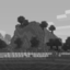 WindGlider smp Minecraft Server Icon