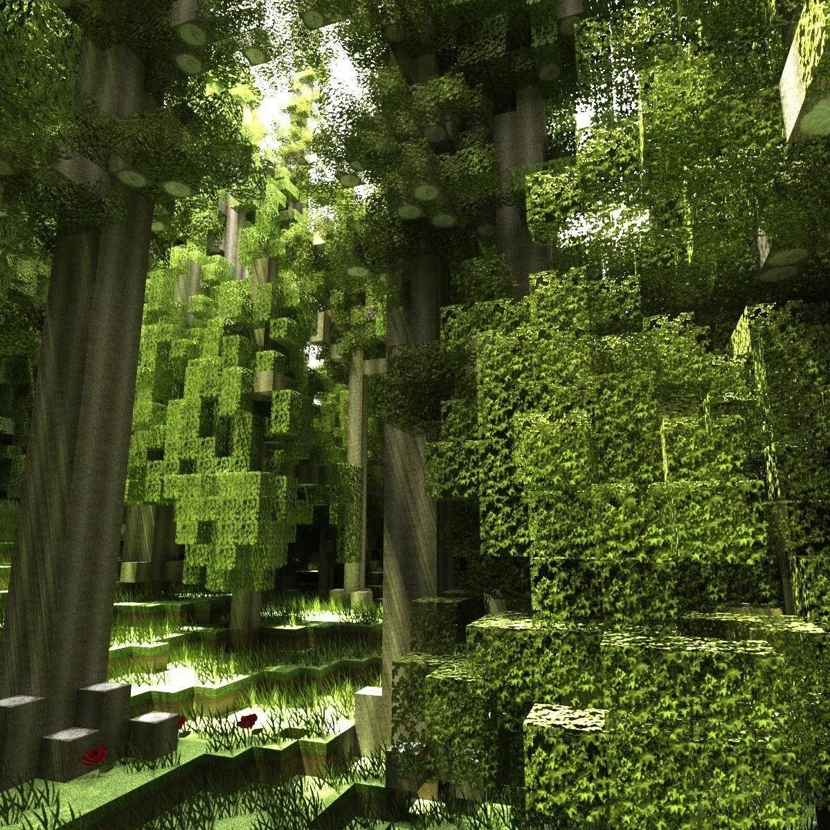 Forest Calls tag banner